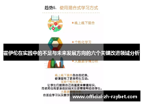 霍伊伦在实践中的不足与未来发展方向的六个关键改进领域分析