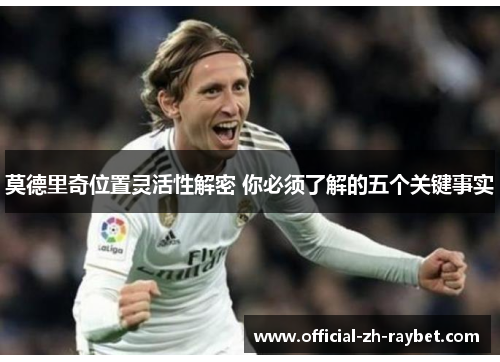 莫德里奇位置灵活性解密 你必须了解的五个关键事实