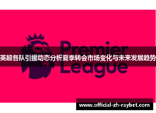 英超各队引援动态分析夏季转会市场变化与未来发展趋势 英超各队引援动态分析夏季转会市场变化与未来发展趋势