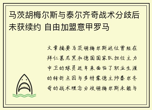 马茨胡梅尔斯与泰尔齐奇战术分歧后未获续约 自由加盟意甲罗马